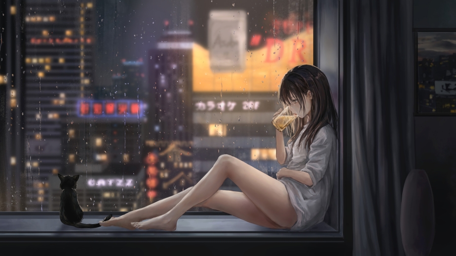 大长腿动漫女孩飘窗前喝啤酒看着雨天的城市夜景、小猫咪旁边静静陪着、唯美4k动漫壁纸