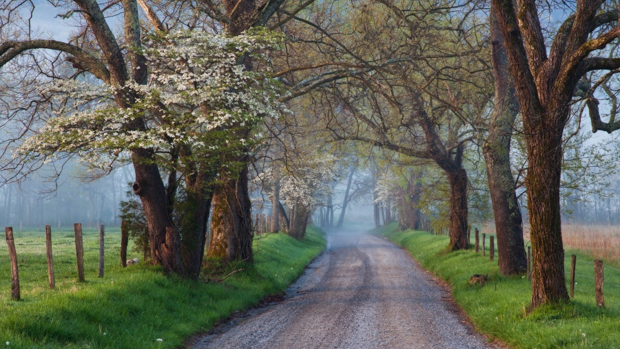 Cades Cove 、大雾山国家公园、田纳西州、美国