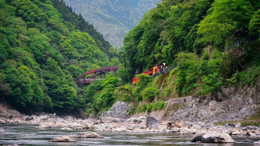 沿着岚山保津川行驶的火车,京都,日本