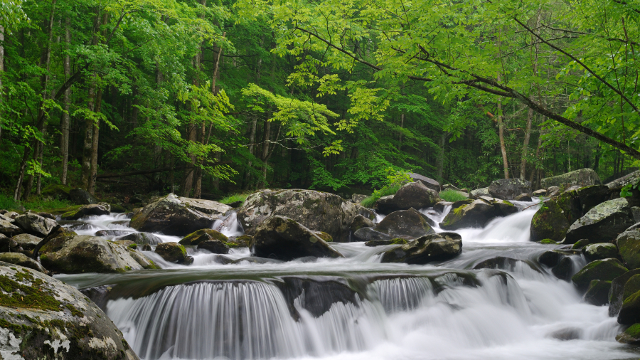 小鸽子河,大雾山国家公园,田纳西州, 美国